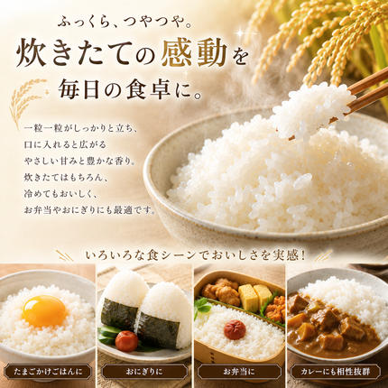 宮城県大河原町のふるさと納税 にじのきらめき 定期便 10回/5kg×1袋 令和8年産 新米 ブランド米 白米 精米 【小分け】 宮城県大河原町産