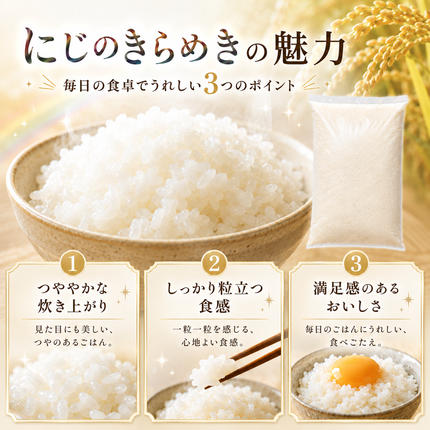 宮城県大河原町のふるさと納税 にじのきらめき 定期便 6回/10kg（5kg×2袋） 令和8年産 新米 ブランド米 白米 精米 【小分け】 宮城県大河原町産