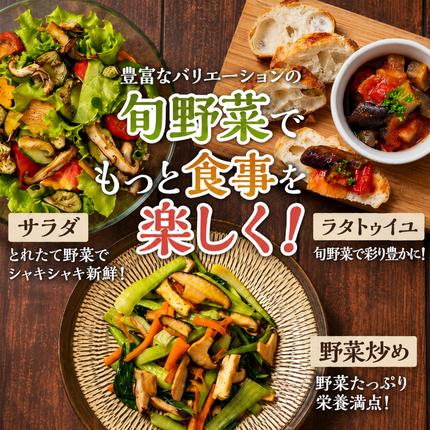 静岡県袋井市のふるさと納税 とれたて 野菜 パック 定期便 3回 季節の野菜 セット 詰め合わせ 8品前後 野菜セット 野菜詰め合わせ 3ヶ月 ジャガイモ 人参 大根 小松菜 白ネギ グリーンリーフ チンゲン菜 椎茸 トマト 水菜 葉ネギ 人気 厳選 静岡県