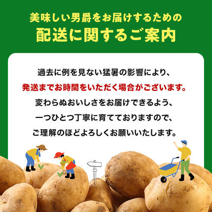 北海道今金町のふるさと納税 【先行予約】北海道今金町産男爵いも 約10kg 【2026年10月下旬以降順次出荷】北海道産 じゃがいも ジャガイモ だんしゃく 男爵 男爵いも 先行予約 野菜 ほくほく しっとり 常備野菜 野菜 F21X-486