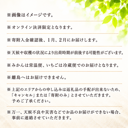 静岡県浜松市のふるさと納税 【2027年1月中旬より発送】 フルーツ 定期便 2ヶ月 三ヶ日みかん 紅ほっぺ フルーツ定期便 青島みかん みかん いちご 果物 旬のフルーツ 旬の果物 季節のフルーツ 静岡 静岡県 浜松市 2回 定期 【配送不可：離島】