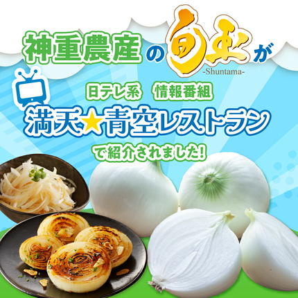 愛知県碧南市のふるさと納税 【5/31まで受付】(2027年発送) ≪『満天☆青空レストラン』で紹介されました！≫新玉ねぎ 生がおいしい 神重農産のブランド玉ねぎ「旬玉」5kg ブランド玉ねぎ 玉ねぎ 国産 愛知県産 野菜 やさい 農家直送 畑直送 旬 期間限定 たまねぎ 旬 特産 高評価 高リピート 人気 H105-220