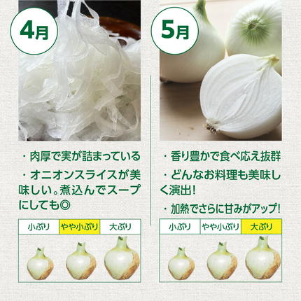 愛知県碧南市のふるさと納税 【5/31まで受付】(2027年発送) ≪『満天☆青空レストラン』で紹介されました！≫新玉ねぎ 生がおいしい 神重農産のブランド玉ねぎ「旬玉」5kg ブランド玉ねぎ 玉ねぎ 国産 愛知県産 野菜 やさい 農家直送 畑直送 旬 期間限定 たまねぎ 旬 特産 高評価 高リピート 人気 H105-220