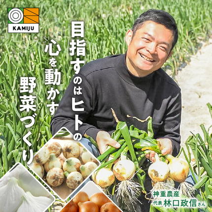 愛知県碧南市のふるさと納税 【5/31まで受付】(2027年発送) ≪『満天☆青空レストラン』で紹介されました！≫新玉ねぎ 生がおいしい 神重農産のブランド玉ねぎ「旬玉」5kg ブランド玉ねぎ 玉ねぎ 国産 愛知県産 野菜 やさい 農家直送 畑直送 旬 期間限定 たまねぎ 旬 特産 高評価 高リピート 人気 H105-220
