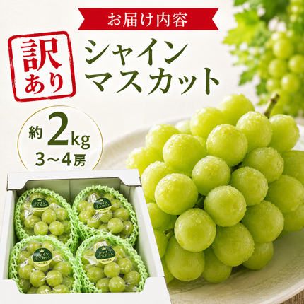 訳あり シャインマスカット 約2kg 3～4房 高梁市産 2027年 先行予約