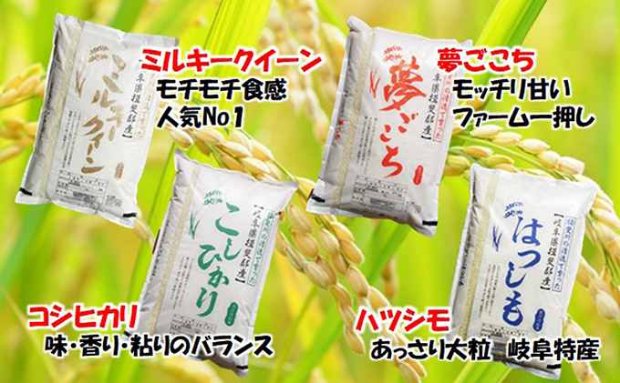 岐阜県池田町のふるさと納税 定期便 4カ月【 令和8年産 】毎月  白米 5kg【 ミルキークイーン 】