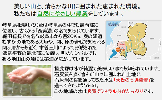 岐阜県池田町のふるさと納税 定期便 4カ月【 令和8年産 】毎月  白米 5kg【 ミルキークイーン 】