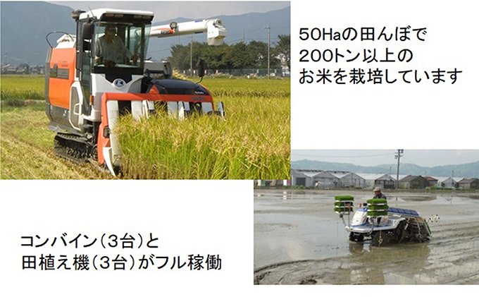 岐阜県池田町のふるさと納税 定期便 4カ月【 令和8年産 】毎月  白米 5kg【 ミルキークイーン 】