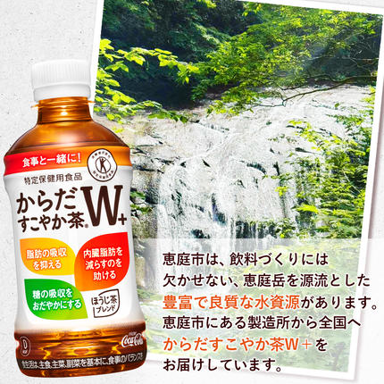 北海道恵庭市のふるさと納税 『定期便：全6回』からだすこやか茶W+ 350ml×24本【38001AB0601】