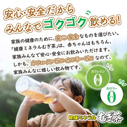 北海道恵庭市のふるさと納税 『定期便：全12回』健康ミネラル麦茶2L×6本×2箱【50001BB1201】