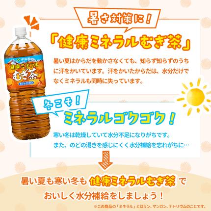 北海道恵庭市のふるさと納税 『定期便：全12回』健康ミネラル麦茶2L×6本×2箱【50001BB1201】