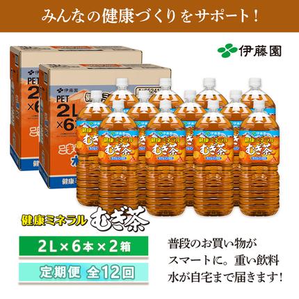 北海道恵庭市のふるさと納税 『定期便：全12回』健康ミネラル麦茶2L×6本×2箱【50001BB1201】