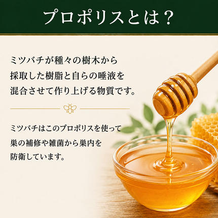 MODERE セルプルーフ インターフュージョン 他 プロポリス17点セット プロポリスドリンクセット 飲料 / 岐阜県池田町 | セゾンのふるさと納税