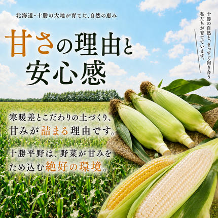 先行予約/2026年］もぎたてとうもろこし黄・白 計18～20本セット
