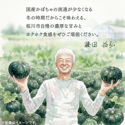 ≪ 2026年 収穫分 ≫ 桜川市産 高級かぼちゃ 天空一果 2玉 先行予約