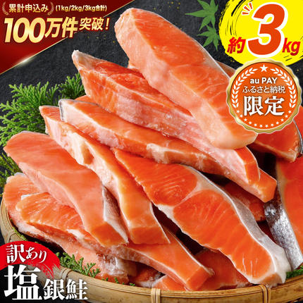 [三太郎の日限定] 訳あり 銀鮭 切身 約3kg [宮城東洋 宮城県 気仙沼市 20566361] 鮭 魚介類 海鮮 訳アリ 規格外 不揃い さけ サケ 鮭切身 シャケ 切り身 冷凍 家庭用 おかず 弁当 支援 サーモン 銀鮭切り身 魚 わけあり