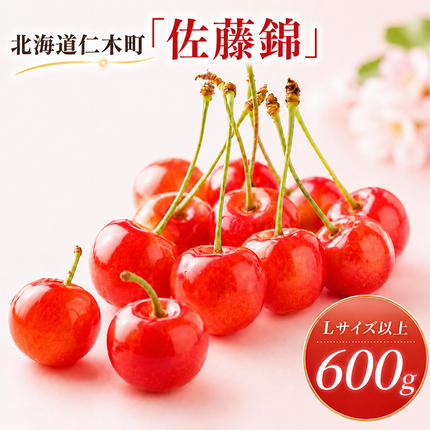 2027年発送 北海道 仁木町産 さくらんぼ 佐藤錦 600g (300g×2パック) L