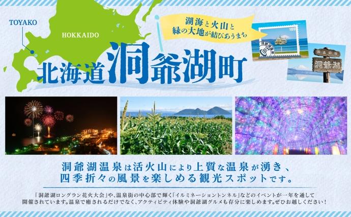 北海道洞爺湖町のふるさと納税 洞爺湖町産 黄金のわかさぎ 18尾×4P 計72尾 12月以降順次出荷 北海道産 ワカサギ わかさぎ 川魚 魚介類 産地直送 冷凍 お取り寄せ グルメ 料理 天ぷら フライ とうやマルシェ 北海道 洞爺湖町