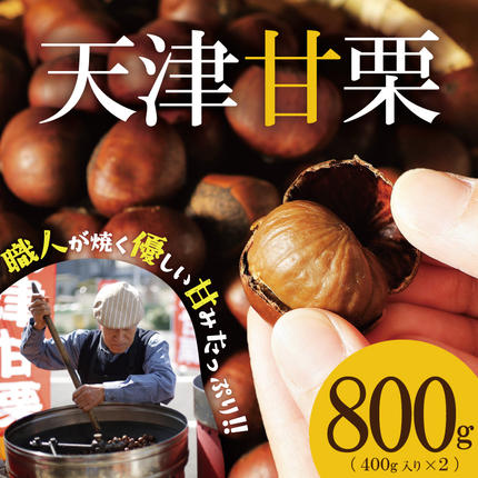 【予約受付】（新栗をお届け）この道50年の