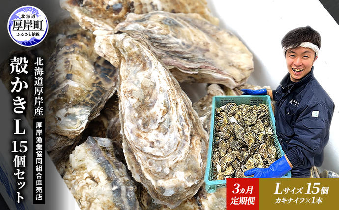 定期便 3ヵ月 牡蠣 殻付き 生食 L15