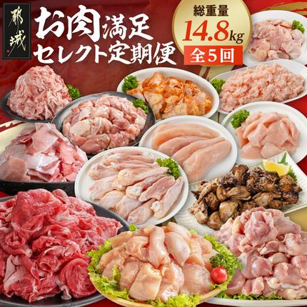[☆セレクト定期便☆]お肉満足定期便(5ヶ月)≪2027年お届け≫〔T66E-5-S006〕