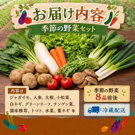 静岡県袋井市のふるさと納税 とれたて 野菜 パック 定期便 3回 季節の野菜 セット 詰め合わせ 8品前後 野菜セット 野菜詰め合わせ 3ヶ月 ジャガイモ 人参 大根 小松菜 白ネギ グリーンリーフ チンゲン菜 椎茸 トマト 水菜 葉ネギ 人気 厳選 静岡県