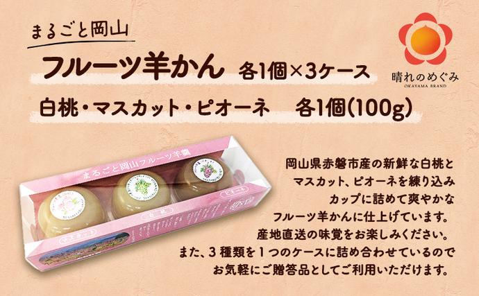 岡山県赤磐市のふるさと納税 まるごと 岡山 フルーツ 羊羹 3 ケース （ 白桃 ・ マスカット ・ ピオーネ 各1個） 桃 もも ぶどう 和菓子 お菓子 スイーツ ようかん ギフト 贈答品