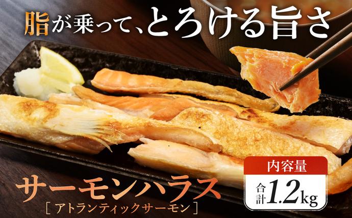 サーモン ハラス 1.2kg(200ｇ×6