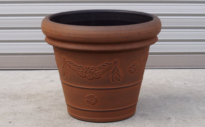 福岡県朝倉市のふるさと納税 苗木 特大サイズ ジューンベリーの木 鉢植え ブラウン鉢 1個 植物 ガーデン ※配送不可:北海道、沖縄、離島