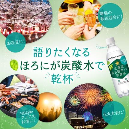 セゾン限定】 炭酸水 500ml × 24本 北海道富良野ホップ炭酸水 [7営業日