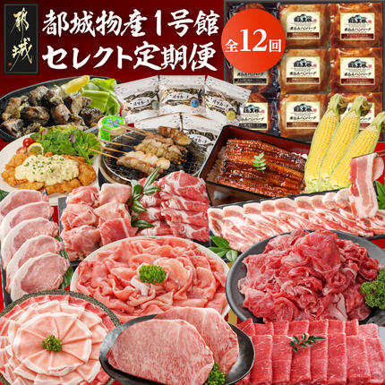 [☆セレクト定期便☆]都城物産1号館☆定期便(12ヶ月)≪2027年お届け≫〔T159-12-S001〕
