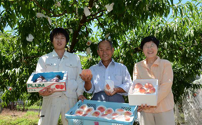 香川県東かがわ市のふるさと納税 桃 瀬戸の天使 香る桃 5～9玉 3kg 旬の桃 もも モモ ピーチ フルーツ 果物 くだもの 果実 旬の果物 旬のフルーツ 香川 香川県 東かがわ市