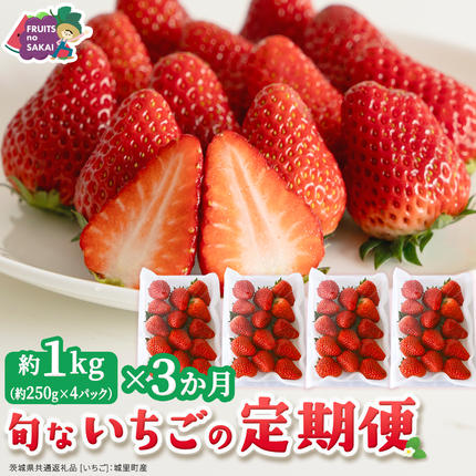 茨城県つくばみらい市のふるさと納税 【定期便】旬ないちご品種おまかせ3ヶ月連続お届け便 （約250g×4パック）×3回【2027年1月から発送開始】（茨城県共通返礼品 [いちご]：城里町産）果物 くだもの フルーツ イチゴ 苺 旬 品種おまかせ 人気 [FC26-NT]