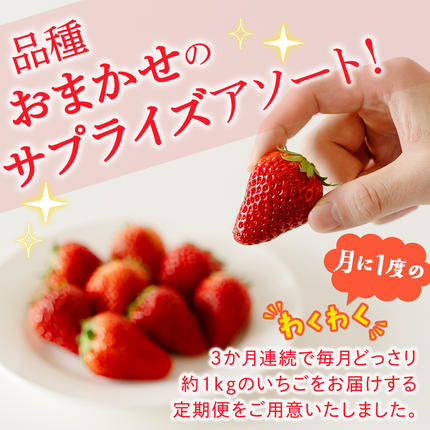茨城県つくばみらい市のふるさと納税 【定期便】旬ないちご品種おまかせ3ヶ月連続お届け便 （約250g×4パック）×3回【2027年1月から発送開始】（茨城県共通返礼品 [いちご]：城里町産）果物 くだもの フルーツ イチゴ 苺 旬 品種おまかせ 人気 [FC26-NT]