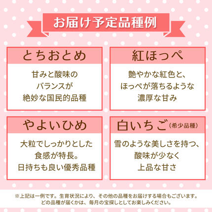 茨城県つくばみらい市のふるさと納税 【定期便】旬ないちご品種おまかせ3ヶ月連続お届け便 （約250g×4パック）×3回【2027年1月から発送開始】（茨城県共通返礼品 [いちご]：城里町産）果物 くだもの フルーツ イチゴ 苺 旬 品種おまかせ 人気 [FC26-NT]