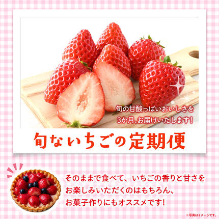 茨城県つくばみらい市のふるさと納税 【定期便】旬ないちご品種おまかせ3ヶ月連続お届け便 （約250g×4パック）×3回【2027年1月から発送開始】（茨城県共通返礼品 [いちご]：城里町産）果物 くだもの フルーツ イチゴ 苺 旬 品種おまかせ 人気 [FC26-NT]