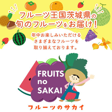 茨城県つくばみらい市のふるさと納税 【定期便】旬ないちご品種おまかせ3ヶ月連続お届け便 （約250g×4パック）×3回【2027年1月から発送開始】（茨城県共通返礼品 [いちご]：城里町産）果物 くだもの フルーツ イチゴ 苺 旬 品種おまかせ 人気 [FC26-NT]