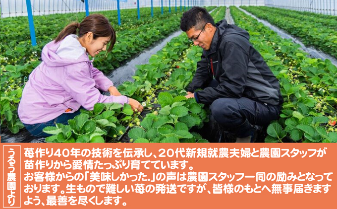 福岡県朝倉市のふるさと納税 いちご 2027年2月下旬より発送 うるう農園のあまおう大福キット（あまおう1パック＋大福6個セット）※配送不可：離島 果物 和菓子 生菓子 苺大福 フルーツ 和スイーツ 特別栽培 福岡県産 おやつ