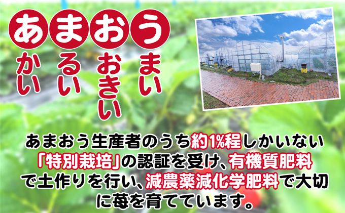 福岡県朝倉市のふるさと納税 いちご 2027年2月下旬より発送 うるう農園のあまおう大福キット（あまおう1パック＋大福6個セット）※配送不可：離島 果物 和菓子 生菓子 苺大福 フルーツ 和スイーツ 特別栽培 福岡県産 おやつ