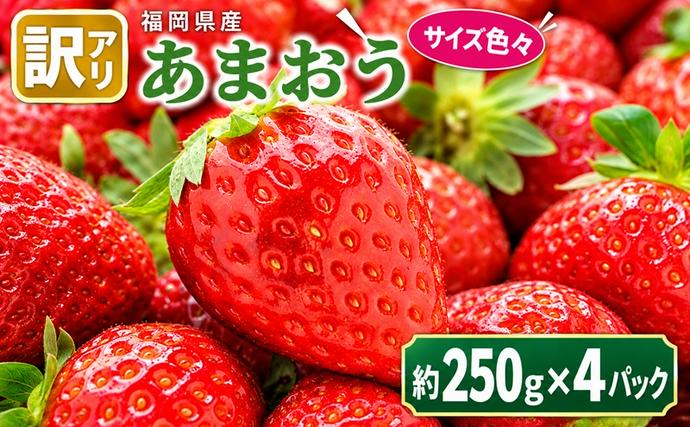 訳あり いちご 2027年2月中旬より発送