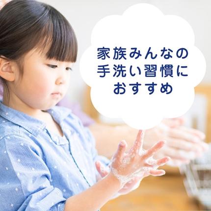 兵庫県小野市のふるさと納税 ハンドソープ キレイキレイ 薬用 液体ハンドソープ 詰め替え 大型 800ml×8本 薬用ハンドソープ 日用品 消耗品 大容量 いい香り LION ライオン 液体石鹸 石鹸 兵庫 兵庫県 小野市