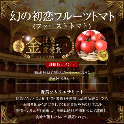 愛知県碧南市のふるさと納税 【お試し】 たった3ヶ月しか食べられない 幻 フルーツ トマト ファーストトマト 容量 約700g 特に美味しい 3月 ～ 5月 限定発送 長田農園 完全木熟栽培 果皮 薄い もっちり食感 甘い リコピン 野菜 碧南市 送料無料 H004-182