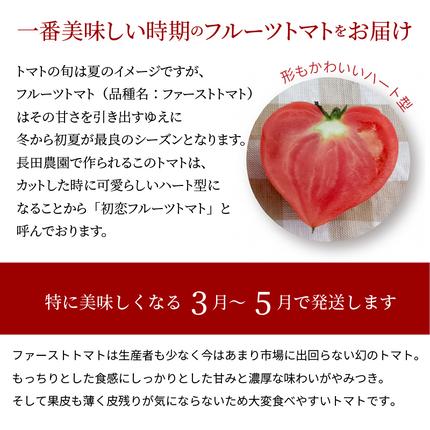 愛知県碧南市のふるさと納税 【2026年度予約分】【予約受付】 たった3ヶ月しか食べられない 幻 フルーツ トマト ファーストトマト 容量 約700g 特に美味しい 3月 ? 5月 限定発送 長田農園 完全木熟栽培 果皮 薄い もっちり食感 甘い リコピン 野菜 碧南市 送料無料 H004-120