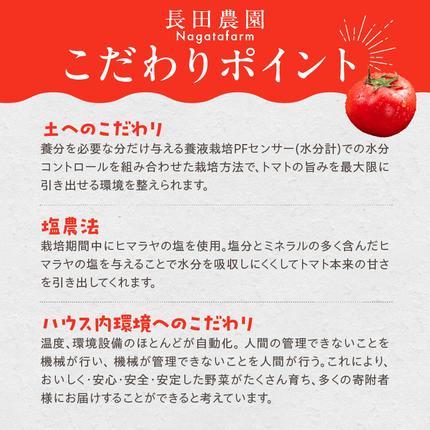 愛知県碧南市のふるさと納税 【お試し】 たった3ヶ月しか食べられない 幻 フルーツ トマト ファーストトマト 容量 約700g 特に美味しい 3月 ～ 5月 限定発送 長田農園 完全木熟栽培 果皮 薄い もっちり食感 甘い リコピン 野菜 碧南市 送料無料 H004-182