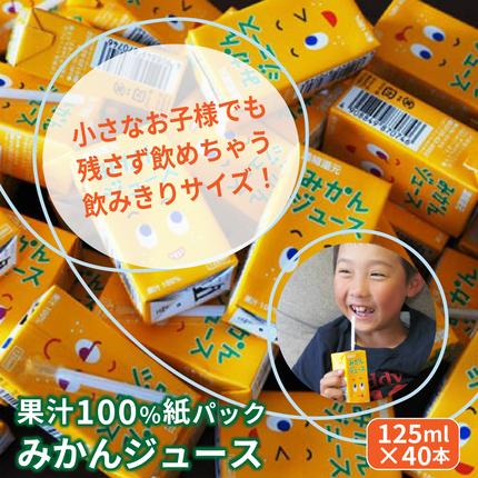 大分県国東市のふるさと納税 【数量限定】 果汁100％紙パック みかんジュース125ml×40本 オレンジジュース_1521R