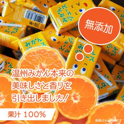 大分県国東市のふるさと納税 【数量限定】 果汁100％紙パック みかんジュース125ml×40本 オレンジジュース_1521R