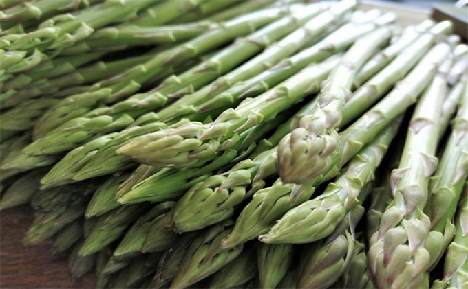 香川県東かがわ市のふるさと納税 少し訳ありSWANの特選アスパラ1kg【さぬきのめざめ】 野菜 野菜セット アスパラガス 訳ありアスパラ