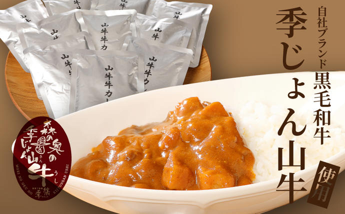 宮崎県木城町のふるさと納税 ＜「山牛」のオリジナルカレー10パックセット＞ K16_0012_1