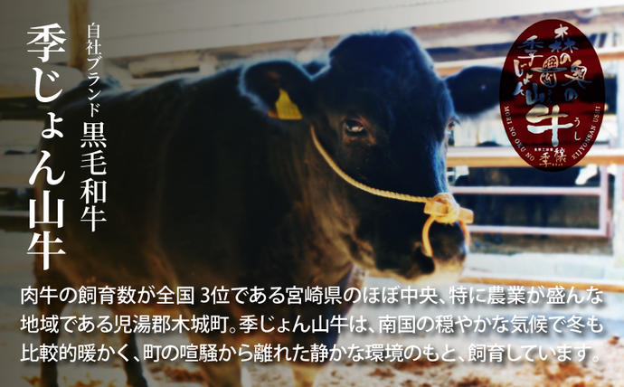 宮崎県木城町のふるさと納税 ＜「山牛」のオリジナルカレー10パックセット＞ K16_0012_1
