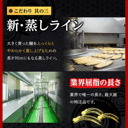鹿児島県志布志市のふるさと納税 日ノ本一の鰻の蒲焼き＜大＞7尾セット(計1,330g以上) f0-034